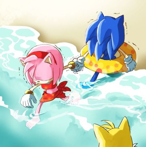 Sonic Amy, Sonic And Tails, Sonic Underground, Sonamy Comic, Sonic The Movie, Sonic Heroes, Sonic Characters, Sonic And Amy, Sonic Funny