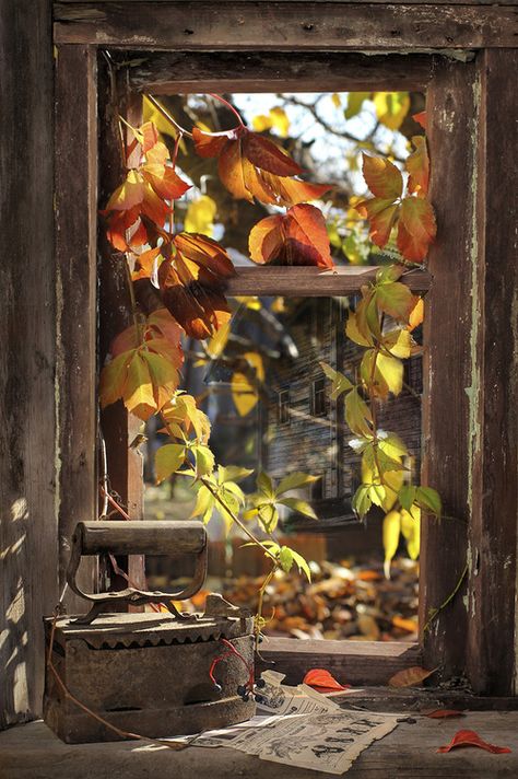 . Window Autumn, Fall View, Autumn Window, October Country, Brown Autumn, Foto Tips, Autumn Scenes, Antique Iron, Window View