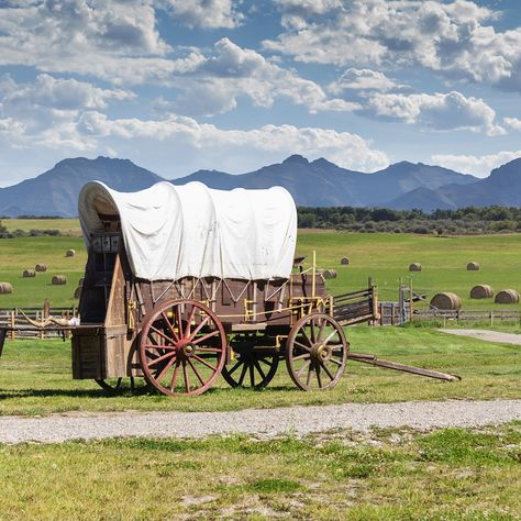 What Did Pioneers Eat on the Oregon Trail? | Taste of Home Oregon Trail Unit Study, Oregon Trail Activities, Lone Cowboy, Pioneer Day, Pioneer Life, Westward Expansion, The Oregon Trail, Covered Wagon, Oregon Trail