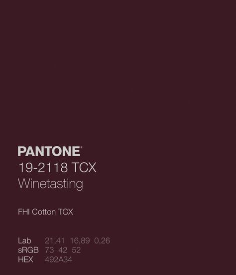 Burgundy Colour Palette, Lash Salon, Dark Autumn, Jewel Colors, Color Palette Design, Color Inspo, Plum Color, Color Of The Year, Color Pallets