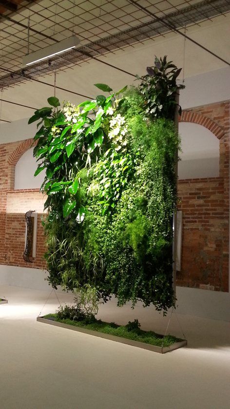 Indoor Vertical Gardens, Garden Design Indoor, Vertical Hydroponics, Vertical Plant Wall, Wall Gardens, Green Wall Design, Vertical Vegetable Gardens, Indoor Plant Wall, Plant Installation