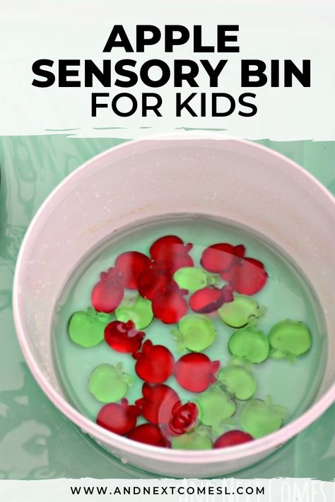 Looking for apple sensory bin ideas for toddlers, preschoolers, or kindergarten aged children? Well, they'll love this easy apple sensory bin with water. All that scooping and pouring is a great way to develop fine motor skills this fall. #applesensorybin #sensorybin #sensorybinideas #preschool Sensory Bin Toddlers, Apple Sensory Bin, Water Sensory Bin, Cinnamon Play Dough, Apple Sensory, Sensory Bin Ideas, Preschool Apple Theme, Fall Sensory Bin, Fall Sensory