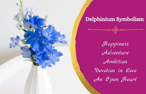 Delphinium Meaning, Meaning Of Blue, Delphinium Flowers, Flower Symbol, Flower Meanings, Language Of Flowers, Flower Spike, Flower Quotes, Delphinium