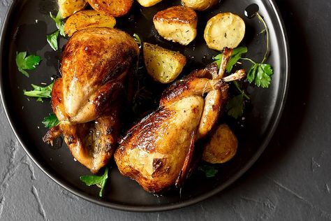 Oven Roasted Quail, Baked Quail Recipes, Roast Quail Recipes, Cooking Quail, French Cassoulet Recipe, Spiralized Zucchini Recipes, Cornish Game Hen Recipes, Recipe With Potatoes, Roasted Quail