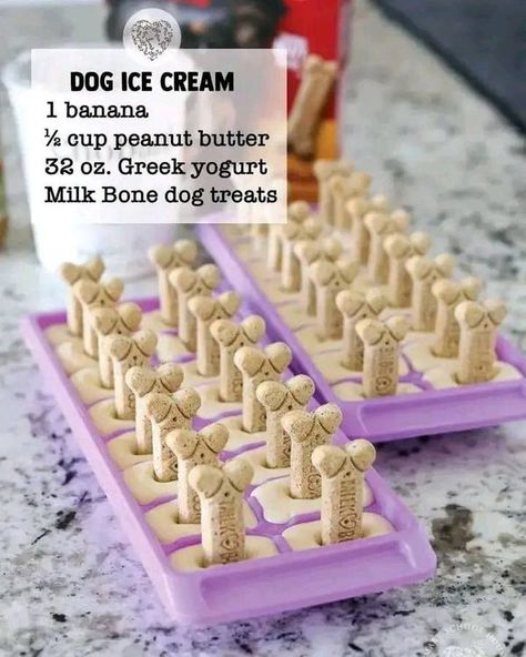 Homemade Dog Treats To Make And Sell | Facebook Homemade Dog Accessories, Treats To Make And Sell, Diy Dog Treats To Sell, Diy Dog Stuff To Sell, Homemade Dog Ice Cream, Dog Treats To Make, Selling Dog Treats, Milk Bone Dog Treats, Puppies Stuff