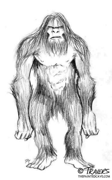 Sasquatch Drawing, Bigfoot Drawing, Bigfoot Illustration, Sasquatch Sightings, Bigfoot Pictures, Yeti Bigfoot, Bigfoot Art, Finding Bigfoot, Mysterious Creatures