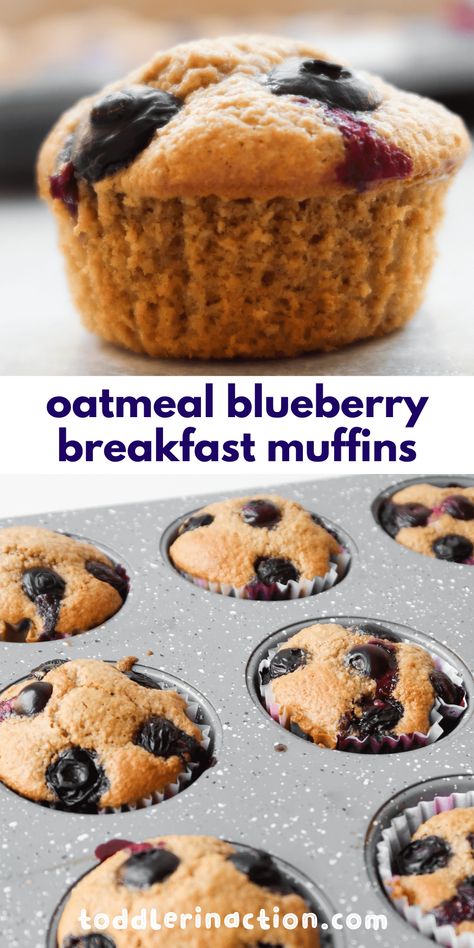 Flourless Oatmeal Blueberry Muffins | Toddler Breakfast Idea - Toddler in Action Blueberry Muffins Toddler, Oatmeal Blueberry Muffins, Oatmeal Blueberry Muffins Healthy, Healthy Muffins For Kids, Oatmeal Blueberry, Breakfast Blueberry, Oatmeal Muffin, Toddler Muffins, Blueberry Oatmeal Muffins