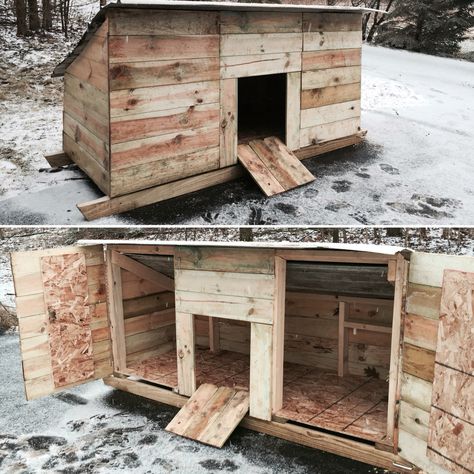 Duck Coop Blueprints, Duck Shed Ideas, Duck And Geese Coop, Poultry Coop Ideas, Duck Coop Interior Ideas, Pet Duck House, Turkey Coops Ideas, Duck House Pallets, How To Build A Duck House