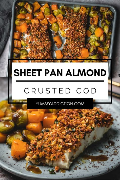 Easy cleanup and low-stress cooking are just a few of the many benefits of this almond crusted cod sheet pan dinner. Caramelized winter vegetables, tender baked cod with a crunchy nut crust, and a delicious drizzle of sweet and tangy balsamic sauce make a satisfying dinner, all on one baking sheet. #sheetpan #cod #dinner #fish #brusselssprouts #butternutsquash Almond Crusted Fish, Cod Dinner, Brussels Sprouts And Butternut Squash, Balsamic Vegetables, Easy Fish Dinners, Crusted Cod, Evening Food, Dinner Fish, Balsamic Sauce