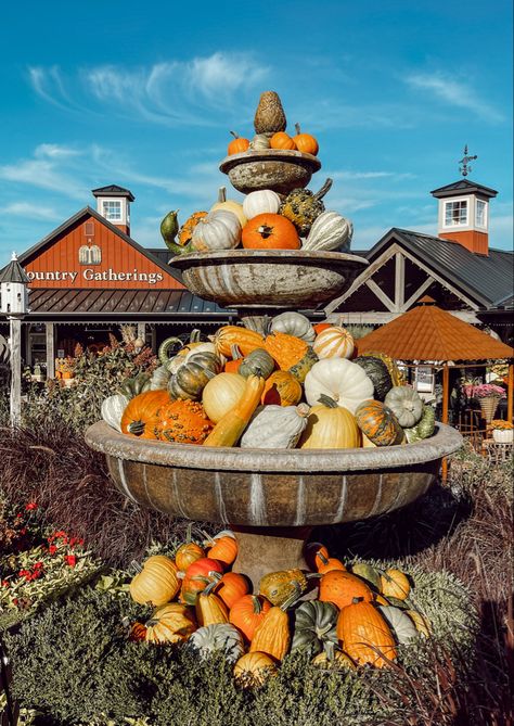 A unique way to decorate for fall by filling a fountain with pumpkins and gourds! Fall Fountain Decor, Pumpkin Fall Decor, Fall Inspo, Fall Outdoor Decor, Fall Outdoor, Halloween Skeletons, Gourds, Pumpkin Patch, Fall Decor