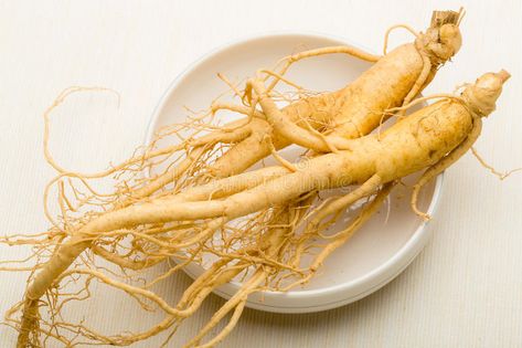 Ginseng. Fresh Ginseng root stick on the white , #affiliate, #Fresh, #Ginseng, #root, #white, #stick #ad American Ginseng, Organic Diet, Stomach Issues, Growth Serum, Lean Protein, Pharmacology, Digestion Problems, Natural Home Remedies, Home Remedies