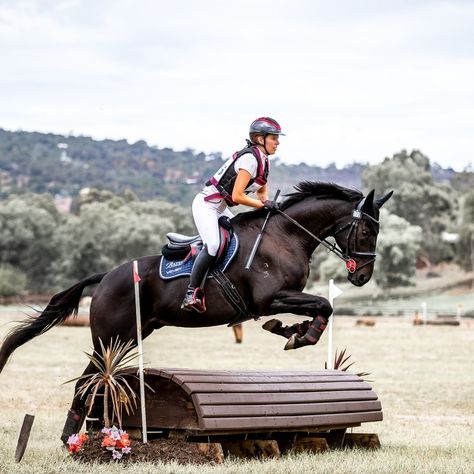 Eventing horse riding cross country equestrian equine photography Cross Country Riding Aesthetic, Horse Riding Cross Country, Equestrian Cross Country, Cross Country Horses, Cross Country Horse Riding, Horse Cross Country, Horse Disciplines, Horse Riding Outfit Women, Horse Eventing