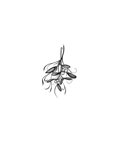 Who do you want to kiss under this mistletoe? (Not me I’m sick) . . .… Huckleberry Tattoo, Mistletoe Tattoo, Mistletoe Drawing, Toe Tattoos, Christmas Fair Ideas, Christmas Tattoo, Botanical Floral Art, Flower Sleeve, Winter Flowers