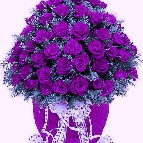 Beautiful Purple Rose Bouquet Rose Belle, Purple Reign, Purple Love, All Things Purple, Deco Floral, Purple Lilac, Purple Rain, Purple Roses, Ikebana