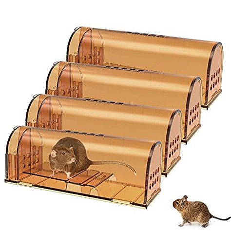 Live Mouse Trap, Small Rat, Rat Trap, Rat Traps, Mouse Trap, Natural Pest Control, Mouse Traps, Pet Safe, Rodents