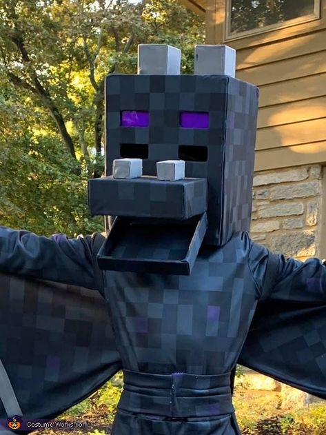 Halloween Costumes 9 Year Boys, Diy Ender Dragon Costume, Enderdragon Costume, Enderdragon Minecraft, Ender Dragon Costume, Dragon Costume Diy, Diy Teen Halloween Costumes, House Costume, Dragon Halloween Costume