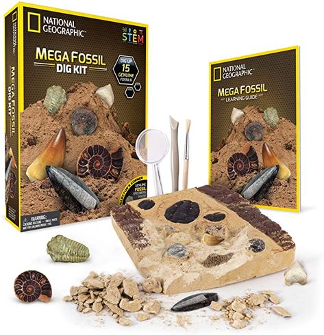 Amazon.com: NATIONAL GEOGRAPHIC Mega Fossil Dig Kit – Excavate 15 real fossils including Dinosaur Bones & Shark Teeth, Educational Toys, Great Gift for Girls and Boys, an AMAZON EXCLUSIVE Science Kit: Toys & Games Real Dinosaur, Lego Mindstorms, Best Educational Toys, Dinosaur Activities, Science Toys, Stem For Kids, Science Gifts, Dinosaur Bones, Stem Science