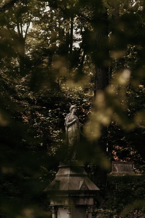 Moody graveyard photos Grave Photoshoot, Graveyard Photoshoot, Graveyard Aesthetic, Graveyard Photography, Photography Inspo, Graveyard, Cemetery, Photo Art, Mood Board