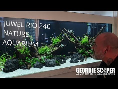 JUWEL RIO 240 LOW TECH NATURE AQUARIUM (LOW LIGHT &amp; NON CO2) 2020 Takashi Amano, Nature Aquarium, Low Tech, Aquascaping, Low Light, Low Lights, Nature