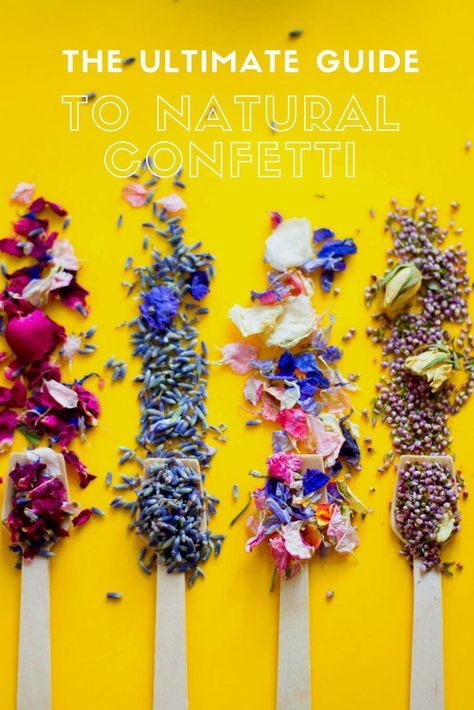 No wedding is complete without confetti but if you're being eco-conscious about your wedding then here's our guide to natural confetti, please us, it's just as beautiful! Natural Confetti, Eco Friendly Confetti, Throwing Confetti, Leaf Confetti, Biodegradable Confetti, Low Budget Wedding, Petal Confetti, Eco Wedding, Eco Friendly Wedding