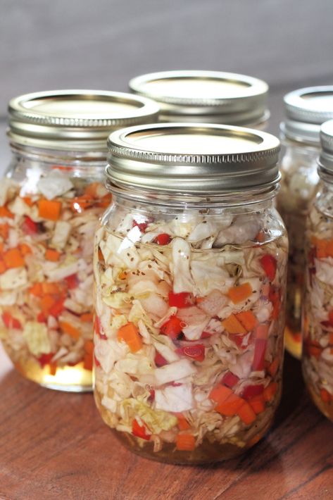 Canned Coleslaw via @nelsonroadgarden Canning Cabbage Slaw, Ways To Preserve Cabbage, Coleslaw Recipe For Canning, How To Freeze Fresh Cabbage, Preserving Cabbage Recipes, How To Preserve Cabbage, How To Can Cabbage In Jars, Canning Cabbage Recipes Water Bath, Cabbage Freezing