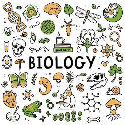 Online Classes posted by Jennifer McKinney about Friendly Biology on IndyEd.com. Elements Science, Biology Poster, Hand Drawn Elements, High School Biology, Front Page Design, Science Biology, Online School, Free Ebook, Free Reading