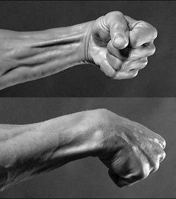 Wrist Anatomy Drawing, Tense Hands Reference, Punch Hand Reference, Hands Anatomy Reference, Hand Fist Reference, Neck Anatomy Reference, Arm Anatomy Reference, Anatomy Of Hand, Clenched Fist Drawing Reference