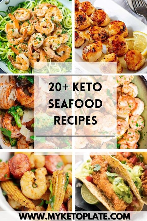 If you are a fan o seafood, then you've come to the right place. We've created a list with 20+ keto seafood recipes that are not only low-carb but also packed with many nutrients and delicious flavors. Low Carb Seafood Recipes, Seafood List, Low Carb Seafood, Keto Seafood Recipes, Keto Basics, Keto Seafood, Delicious Seafood Recipes, Tilapia Recipes, Scallop Recipes