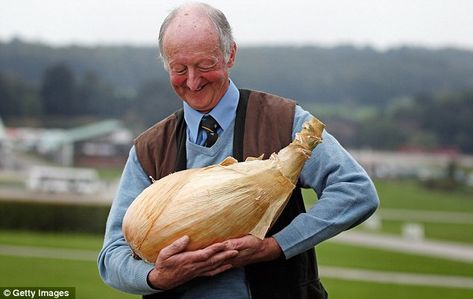 largest zuchinni in the world | ... : Gardener Peter Glazebrook cradles his world record breaking onion Tomato Problems, Farm Plants, Giant Vegetable, Growing Tomatoes From Seed, Planning A Garden, Growing Onions, How To Grow Tomatoes, Tomato Growing, Runner Beans