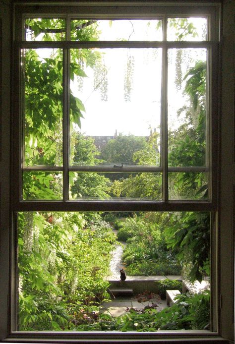 Contemporary Designers’ Own Gardens Garden Outside Bedroom Window, Garden Outside Window, Window Overlooking Garden, Window Garden View, Garden Through Window, Garden View From Window, Window View Garden, Window Landscape, Dan Pearson