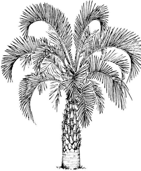 Palm Tree Sketch, Paint Swatch Art, Texture Sketch, Palm Tree Embroidery, Rendering Drawing, Palm Tree Drawing, Ink Landscape, Landscape Design Drawings, Tree Embroidery