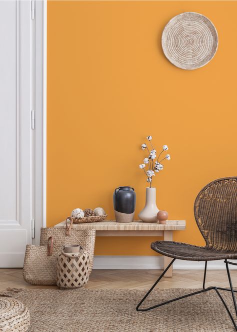 Paint Pallete, Saffron Color, Marigold Color, Orange Interior, Color Interior, Color Wall, Wall Colors, Accent Colors, Colorful Interiors