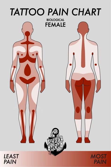 Tattoo Pain Chart: Most Painful (and least) Places to Get a Tattoo - Female Body Borderless Tattoos, Places On Body For Tattoos, Painless Tattoo Placement, Tattoo Area Ideas, Painful Tattoo Areas Charts, Best Place To Get A Tattoo For Women, Best Place For Tattoo Woman, Best Places To Get A Tattoo For Women, Tattoo Painful Chart Women