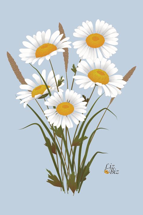 Digital Art Flowers Illustrations, Floral Digital Art, Daisy Drawing Wallpaper, Grass And Flowers Drawing, Flower Graphic Design Illustration, Wild Daisy Drawing, Drawing Daisies, Field Flowers Illustration, Flower Graphic Illustration