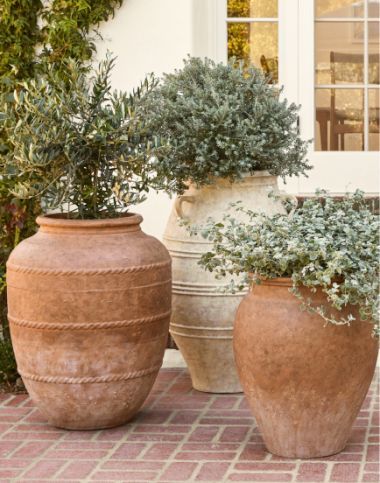 Large Pots Outdoor, Planters Pottery, Backyard Envy, Spanish Exterior, Planter Pottery, Stone Planter, Plant Styling, Patio Flowers, Spanish Mediterranean