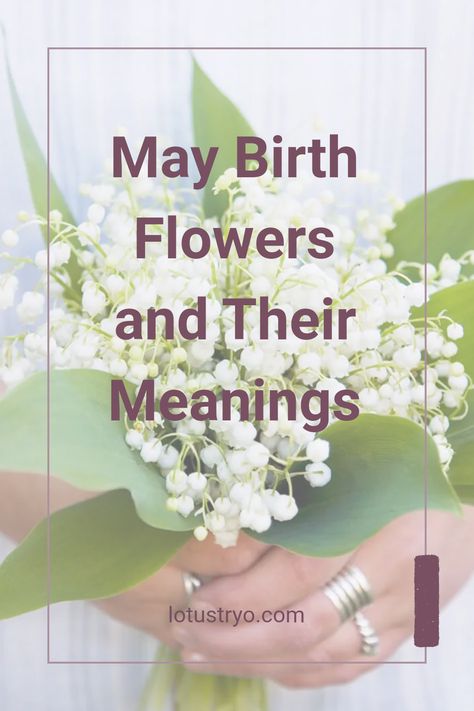 Discover the meaning behind May's stunning birth flowers, the lily-of-the-valley and hawthorn. Known for their beauty and individual significance, the lily-of-the-valley boasts sweet humility and symbolizes the return of joy. On the other hand, hawthorn embodies love and protection, making it a perfect choice for May birthdays. Explore how you can use these flowers in special gifts or decorations to celebrate someone born in May. Get inspired by their charm and meaning that embodies May itself! Meaning Of Lily Of The Valley, Lily Of The Valley Meaning, Ireland Flowers, Plant Meanings, Flowers And Their Meanings, May Birthdays, Growing Lilies, May Birth Flowers, Born In May