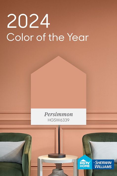 Our 2022 Color of the Year is Persimmon (HGSW6339), a warm terracotta shade with tangerine undertones. This energetic shade pairs perfectly with other uplifting shades to bring attention to the focal points of your home. Persimmon Wall Color, Boho Home Paint Colors, Persimmon Homes Living Rooms, Persimmon Bathroom, 2024 Color Of The Year Pantone, 2024 Home Office Trends, Persimmon Color Palette, Persimmon Paint Color, Persimmon Interior