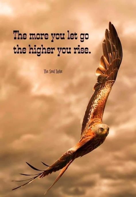 Native American Quotes Wisdom, Get Busy Living, Animal Tattoo Ideas, Native American Wisdom, American Quotes, Native American Quotes, Awakening Quotes, Dalai Lama, Lesson Quotes