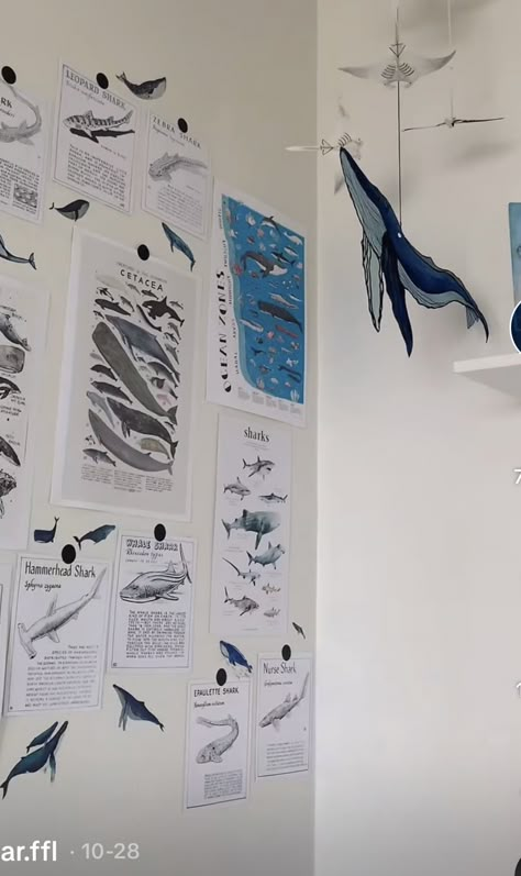 Marine Biology Themed Bedroom, Marine Biology Dorm Room, Marine Biologist Bedroom, Ocean Acubi Room, Marine Room Decor, Shark Room Aesthetic, Marine Biology Room, Ocean Themed Bedroom Aesthetic, Oceancore Room