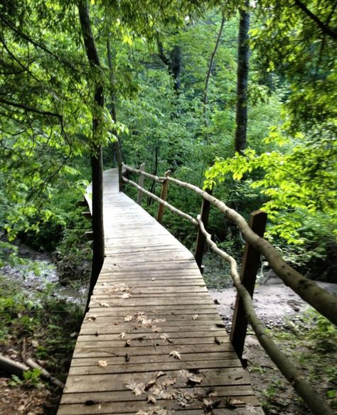 This beautiful 4-mile trail makes its way along the Presumscot River for a lovely day outdoors. Maine Hikes, Maine Woods, Park Trails, Community Park, Winter Hiking, Walk In The Woods, Nature Trail, In The Woods, Hiking Trails