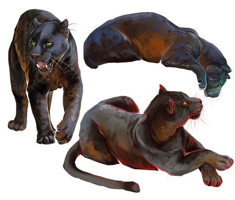 Panther Animal Drawing, Melanistic Jaguar, Fantasy Jaguar Art, Panther Anatomy, Panther Concept Art, Panther Roaring, Panther Reference, Black Jaguar Drawing, Black Panther Digital Art