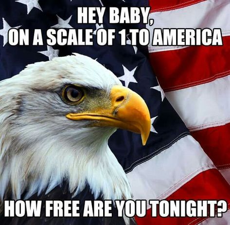 America Core Funny, America Core, America Jokes, Home Office Walls, Painting A Mural, Merica Funny, America Memes, America Funny, Unborn Baby