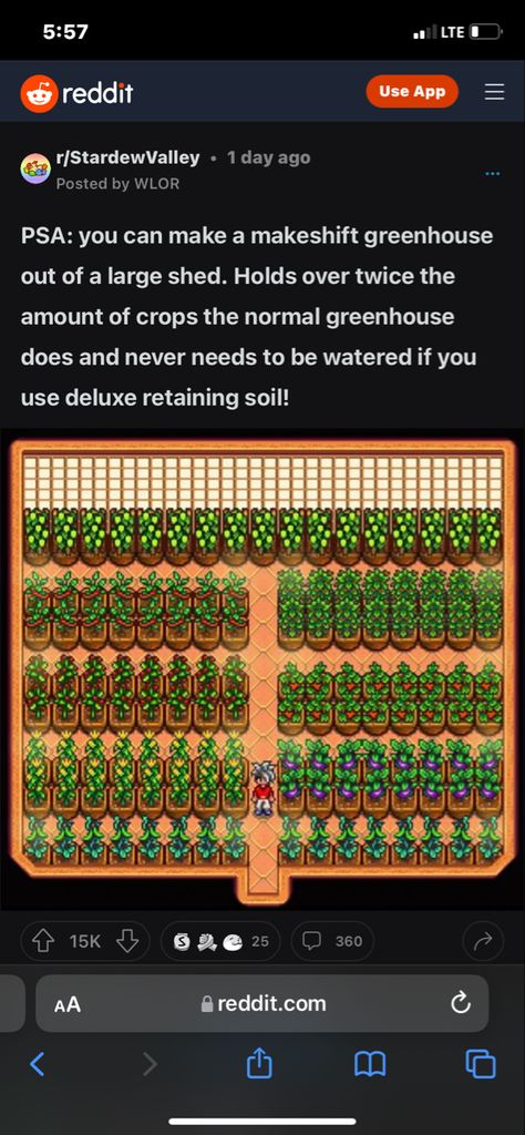 Stardew Valley Money Crops, Last Day To Plant Stardew, Cute Stardew Valley Character Ideas, Stardew Valley 1.6 Tips, Stardew Valley Automate, Stardew Valley Efficient Farm Layout, Stardew Valley Community Center Bundles, Stardew Valley Small Farm, Stardew Valley Tree Tapping Layout