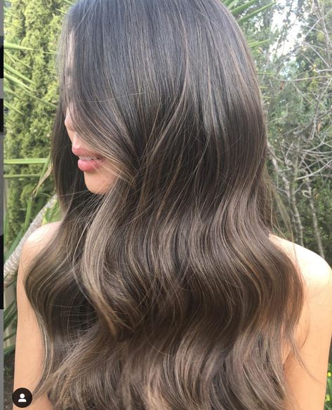 Subtle Balayage Brunette, Baby Lights, Dark Brunette Hair, Brown Hair Looks, Brown Hair Inspo, Hair Color Light Brown, Brown Hair Balayage, Pretty Hair Color, Light Hair Color