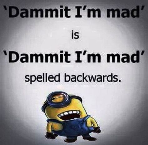 Minion Humour, Funny Minion Pictures, Funny Minion Memes, Minion Jokes, Behind Blue Eyes, A Minion, Funny Quotes Sarcasm, Funny Minion Quotes, Minion Quotes