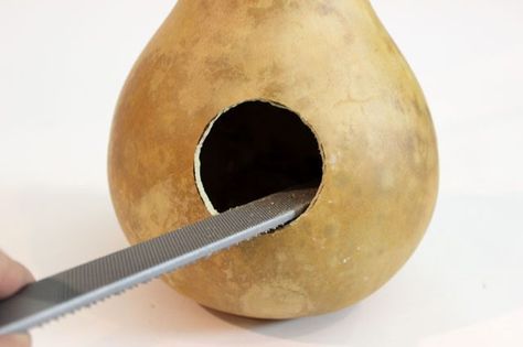 How to Make Gourd Birdhouses | eHow How To Dry Gourds, Gourds Diy, How To Build Abs, Gourd Birdhouses, Beautiful Birdhouses, Gourds Birdhouse, Decorative Gourds, Bird House Kits, Hand Painted Gourds