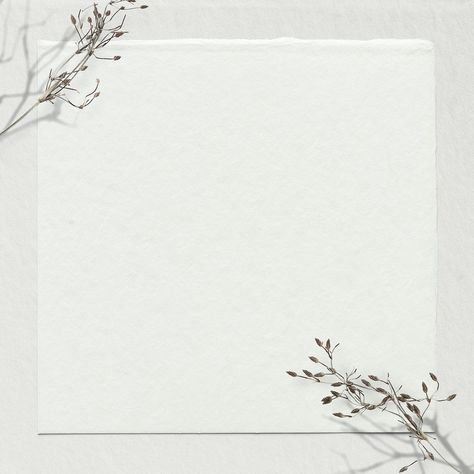 Off white background psd dry branch border | free image by rawpixel.com / nunny Clothes Background Design Aesthetic, White Wallpaper With Border, White Background With Border, Winter Picture Frame, White Background With Design, White Background Template, Black And Gold Invitations, Paper Picture Frames, Cloth Background