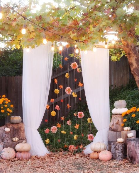 Outdoor Fall Photo Booth Ideas, Outdoor Party Photo Backdrop, Friendsgiving Photo Backdrop Ideas, Harvest Party Photo Booth, Fall Theme Photo Booth, Fall Photo Prop Ideas, Fall Selfie Station, Outdoor Sweet 16 Party Ideas Fall, Fall Fest Photo Booth Ideas