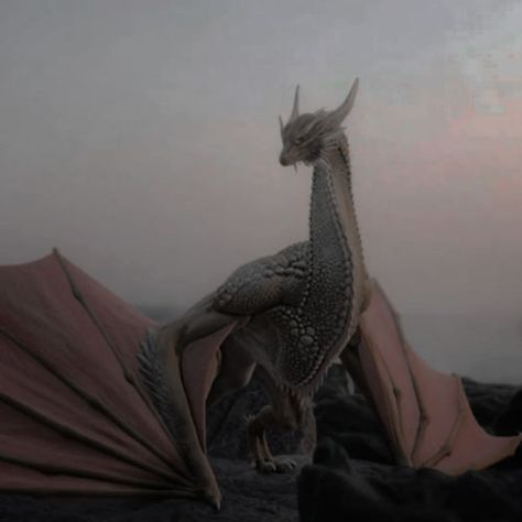 Aegon Aesthetic, Aegon Ii Targaryen Aesthetic, Aegon Targaryen Aesthetic, Targeryan Aesthetic, House Targaryen Aesthetic, Targaryen Princess, Rheagar Targaryen, Asoiaf Dragons, Aegon Ii Targaryen