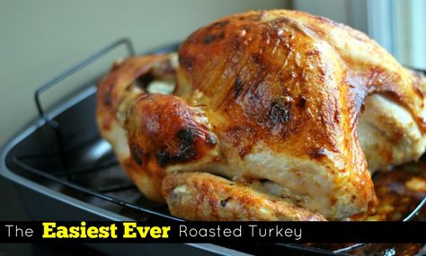 The Easiest Ever Roasted Turkey - Aunt Bee's Recipes Mayonnaise Turkey, Turkey And Gravy, Homemade Turkey Gravy, Best Turkey, Turkey Recipes Thanksgiving, Sliced Turkey, Turkey Dishes, Turkey Gravy, Turkey Recipe